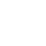 Disc Bulges & Herniations